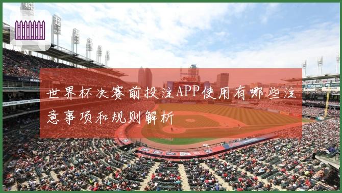世界杯决赛前投注APP使用有哪些注意事项和规则解析