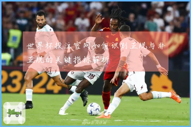 世界杯投注官网如何识别正规与非正规的关键指标解析