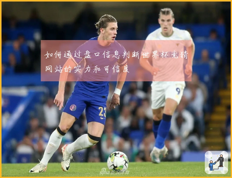 如何通过盘口信息判断世界杯竞猜网站的实力和可信度